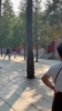 修行第五天了!文班这“第一高僧”跑起来,一步顶别人两步吧🤣